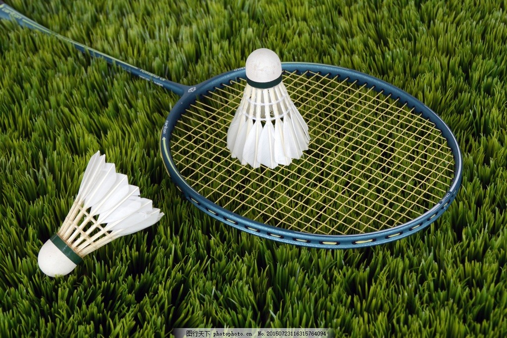 網球、羽毛球拍解決方案